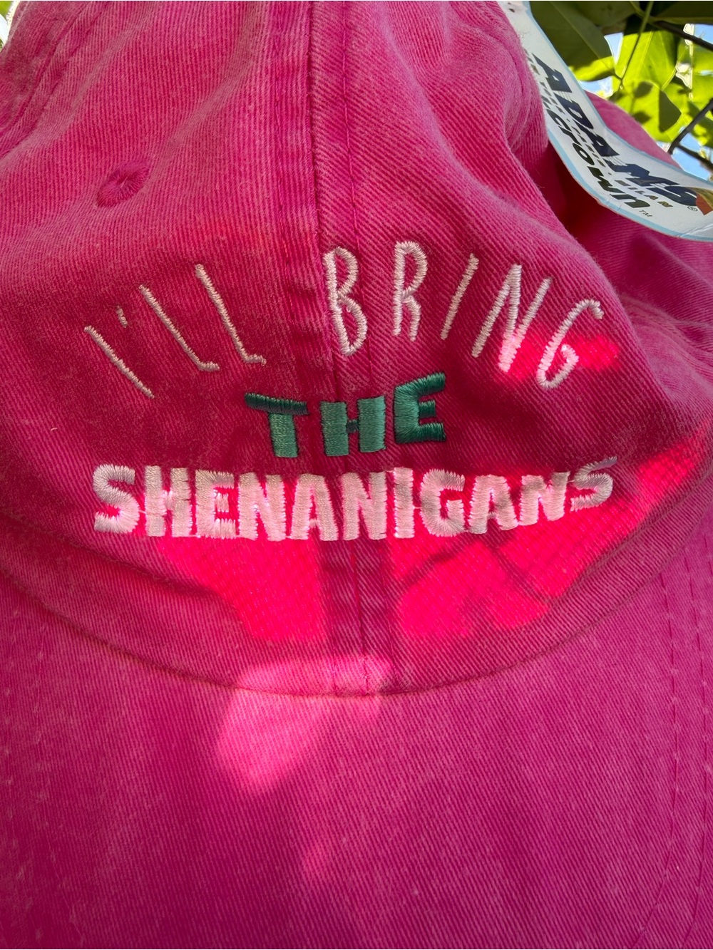 Adams NWT Cool-Crown Pink "I'll Bring The Shenanigans" Baseball Hat women’s cap